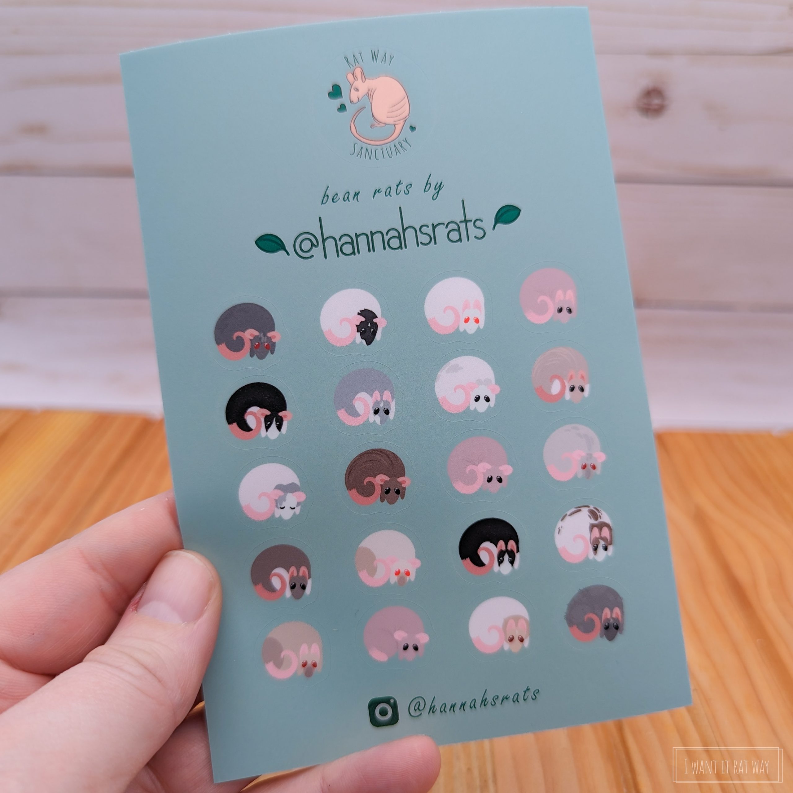 Bean Rats Sticker Sheet by hannahsrats – I Want It Rat Way